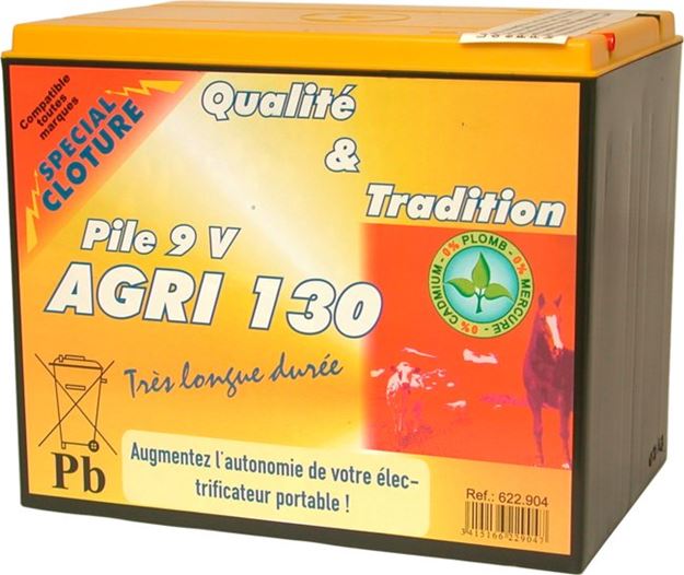 Image sur Pile 130Ah 9V