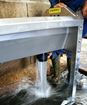 Image sur GV460 - Abreuvoir inox 4,60 m grande vidange